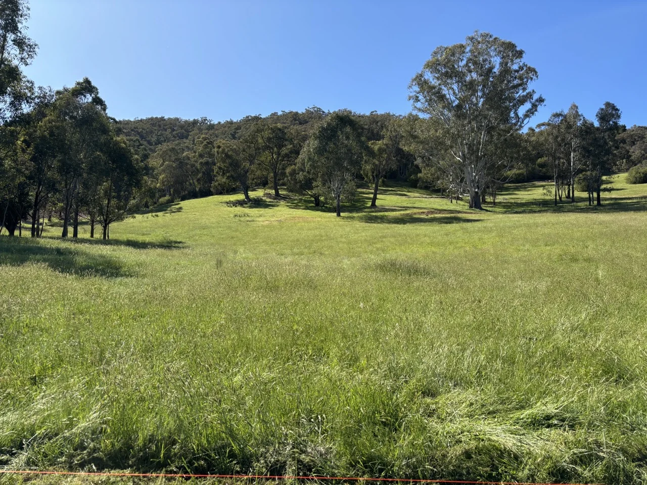 551B Buffalo River Road, Buffalo River VIC 3737