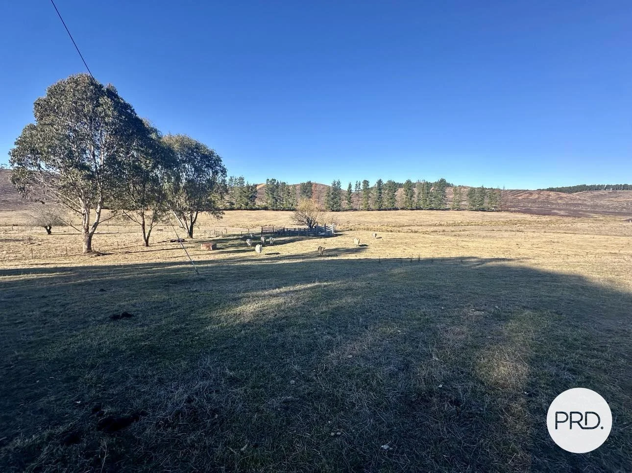 Additional image 36 of 233 Logans Road, Tumbarumba NSW 2653