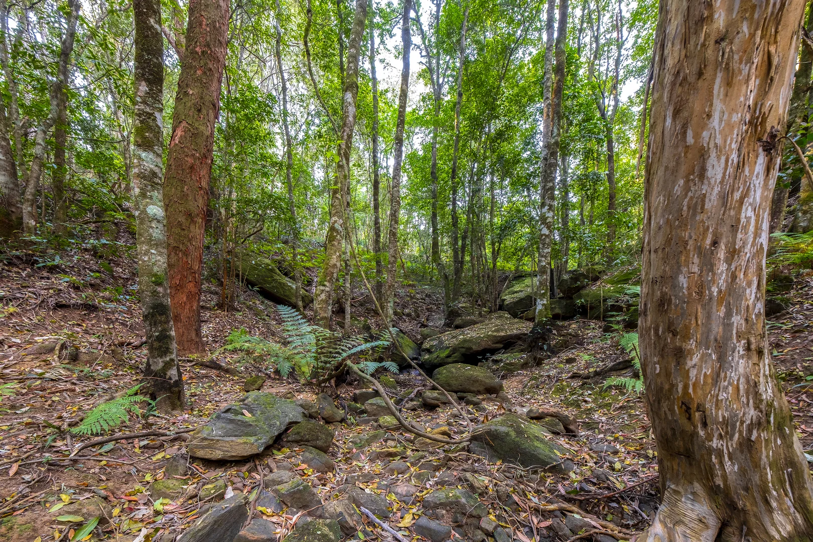 Additional image 11 of 66 Baileys Lane, Kurrajong Hills NSW 2758