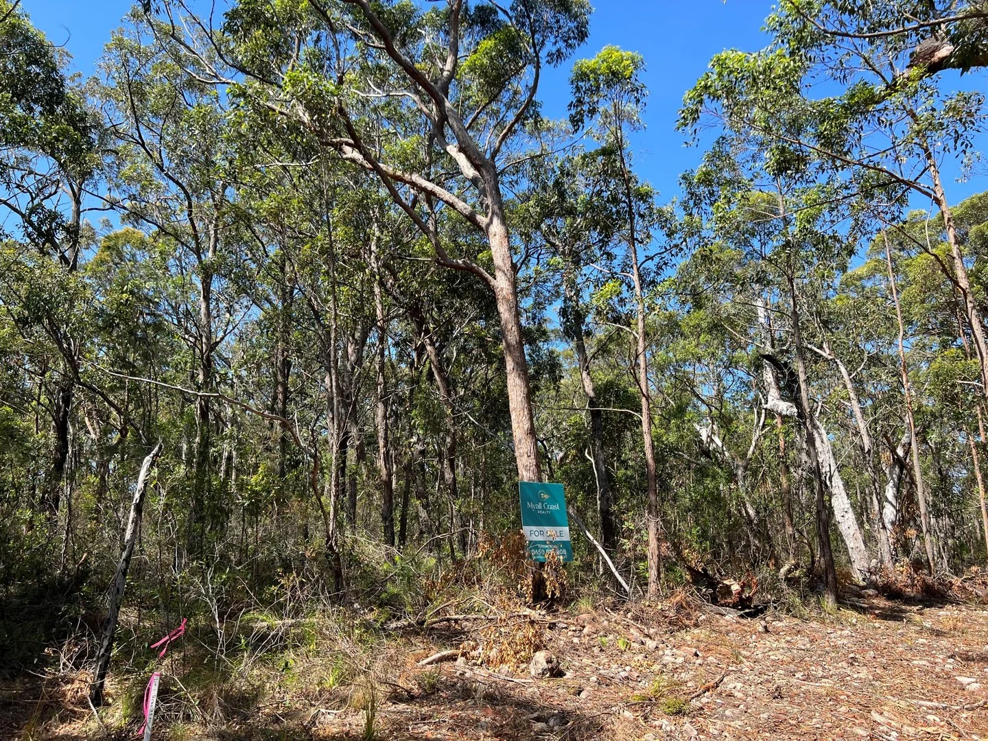 2 Cachalot Street, Pindimar NSW 2324