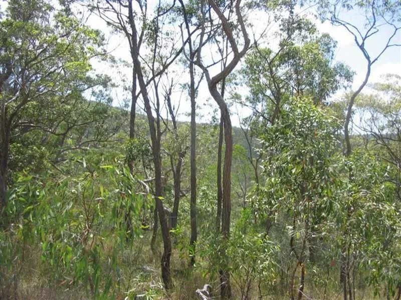 Additional image 13 of Captain Creek QLD 4677