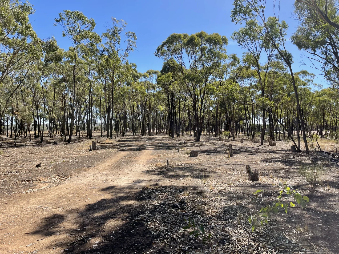 Additional image 10 of 0 Carapooee Road, St Arnaud East VIC 3477