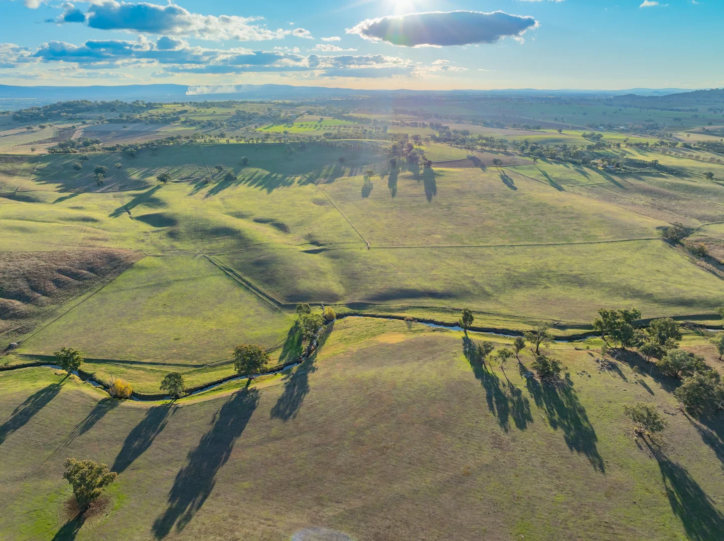 Additional image 22 of 14 Packs Grant Road, Cowra NSW 2794