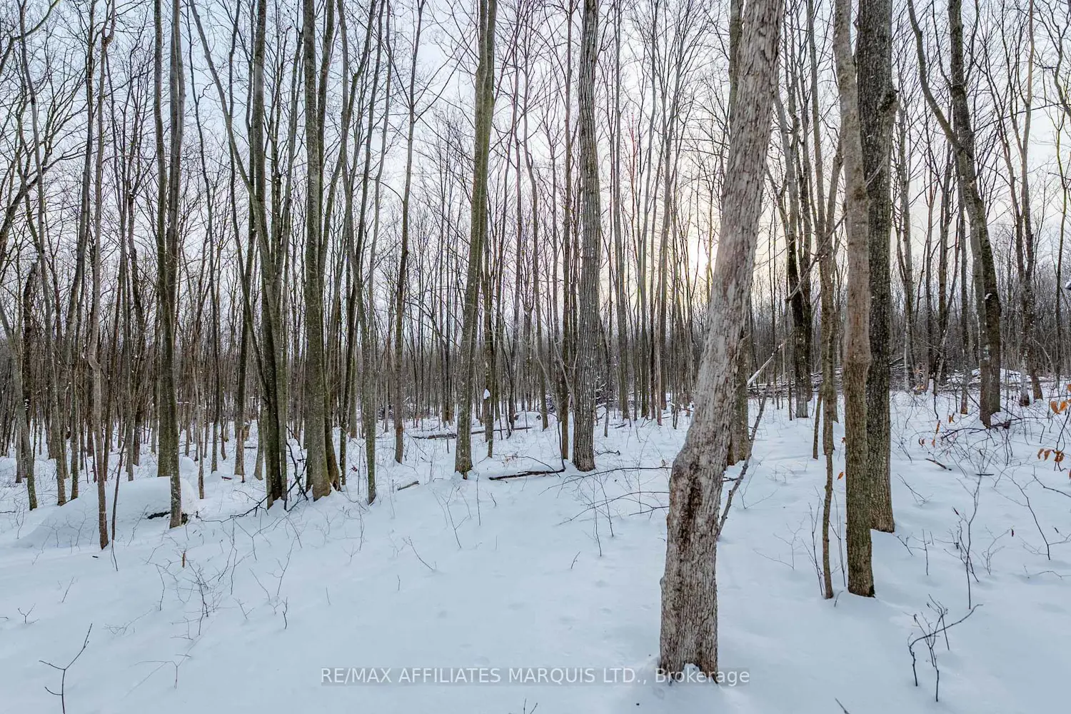 Additional image 15 of Lot Concession 10 Road