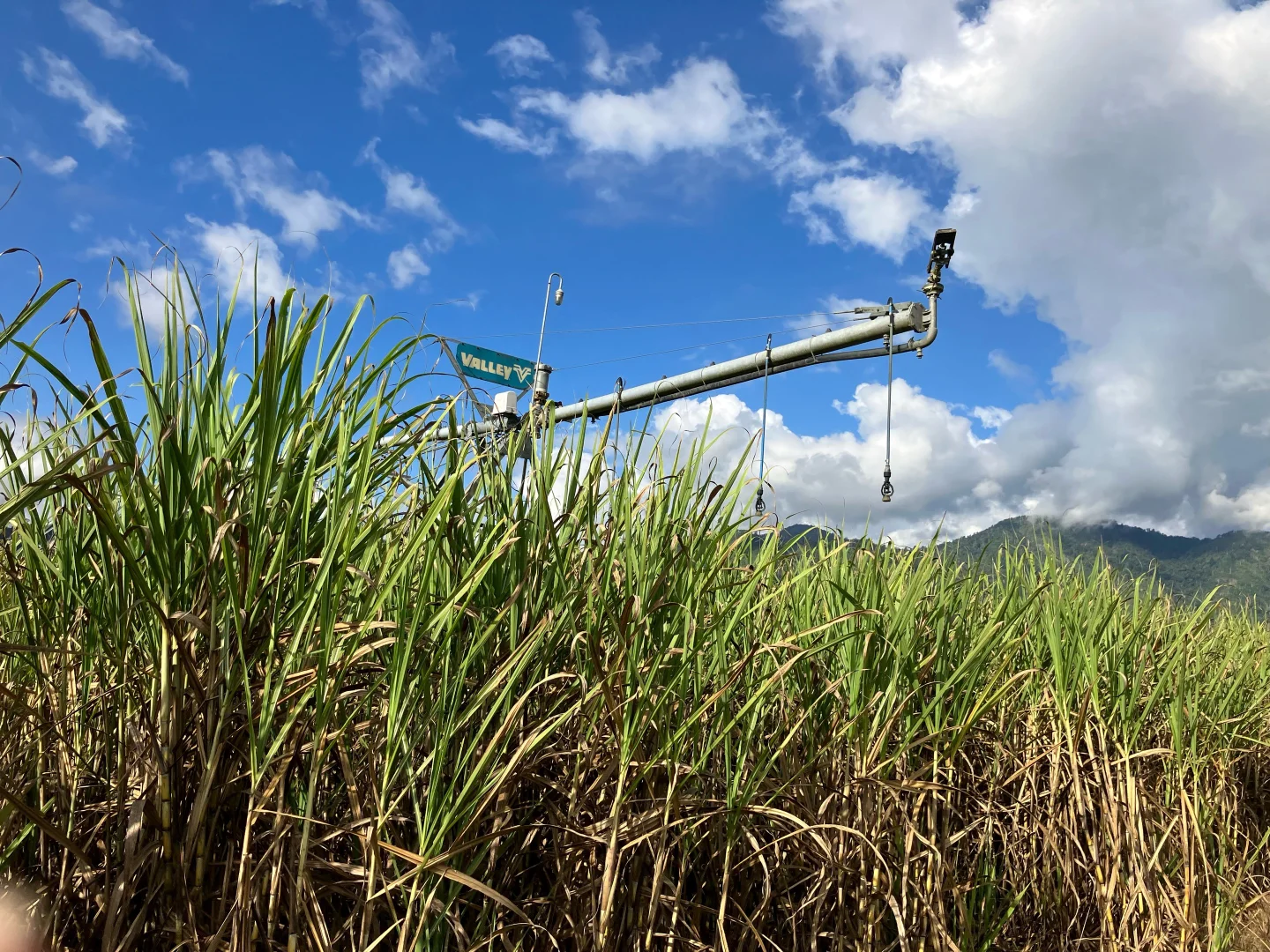 Additional image 10 of Finch Hatton QLD 4756