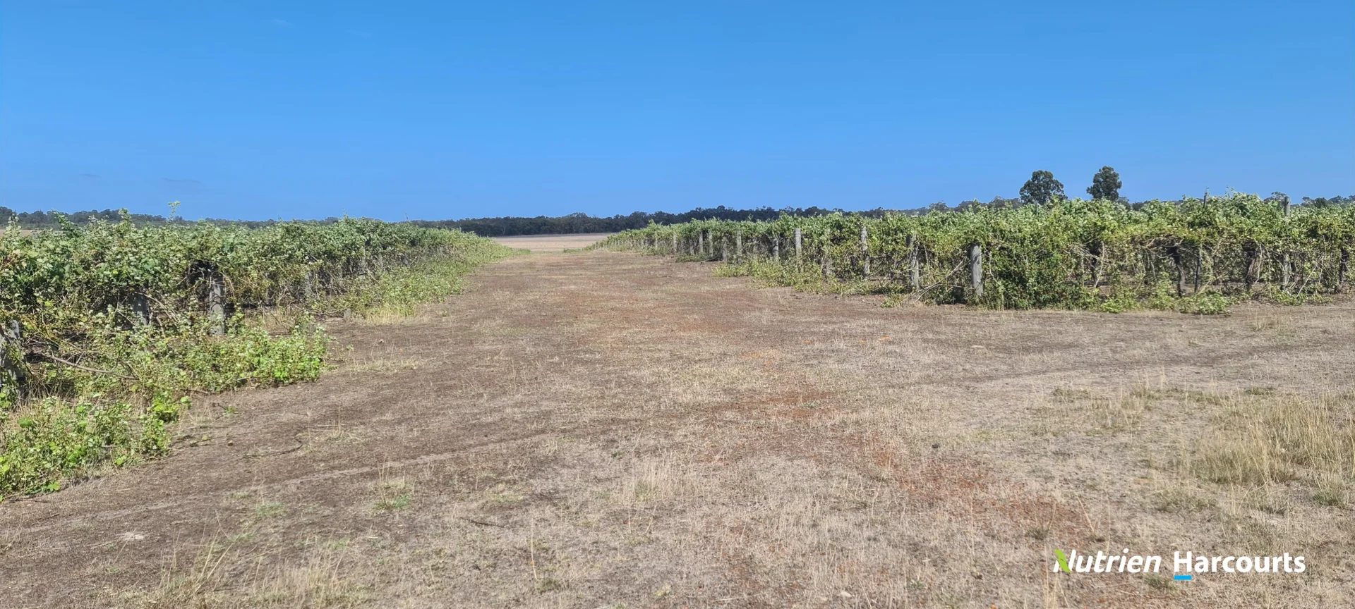 Additional image 8 of 267 Spencer Road, Narrikup WA 6326