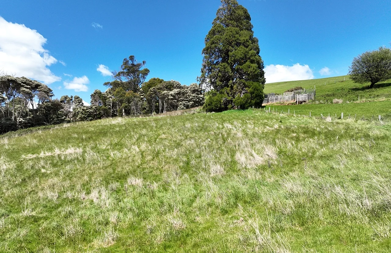 Additional image 16 of Lot 2 Storys Road, Lebrina TAS 7254