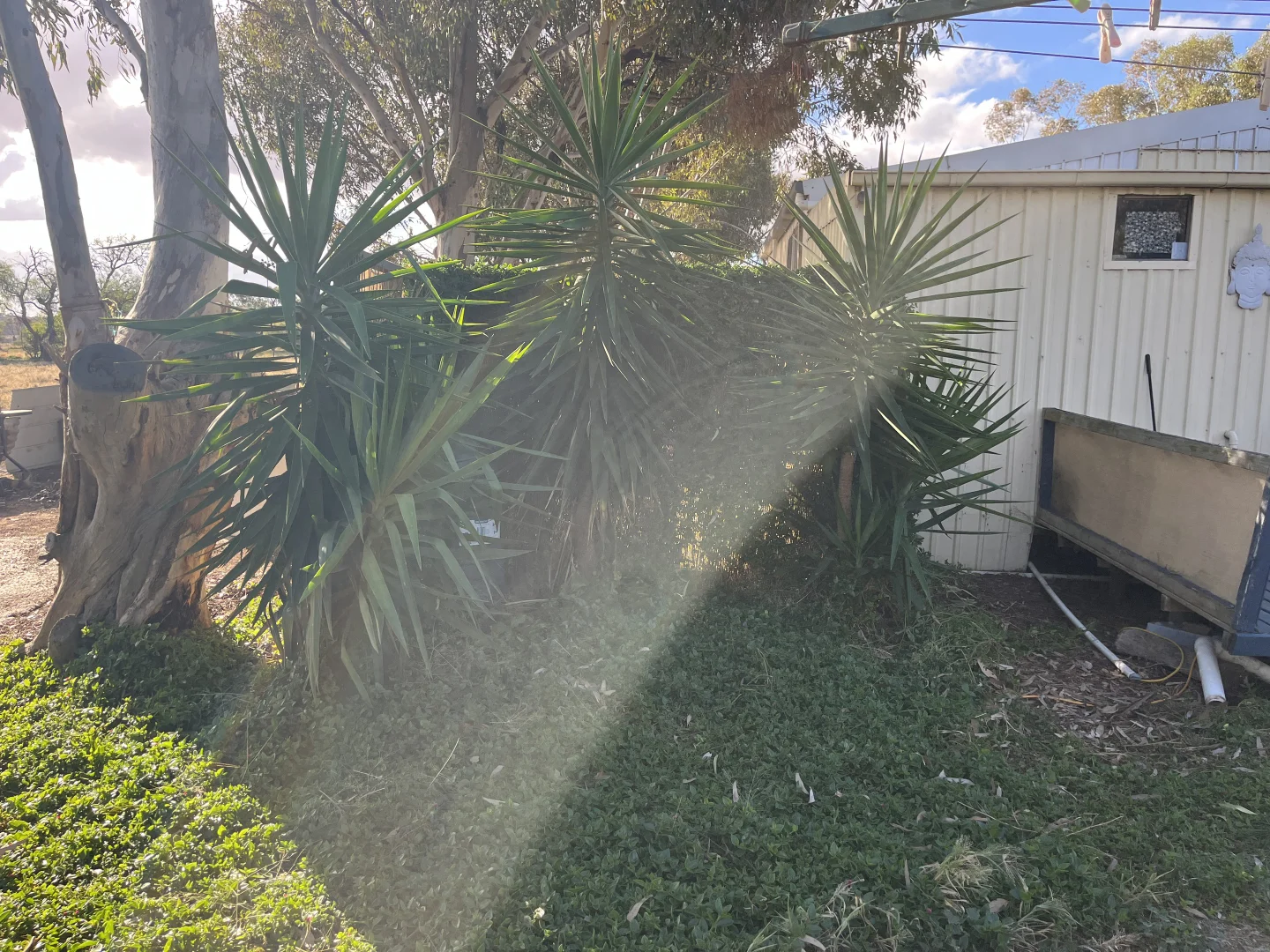 Additional image 28 of 3 Netherby Baker rd, Netherby VIC 3418