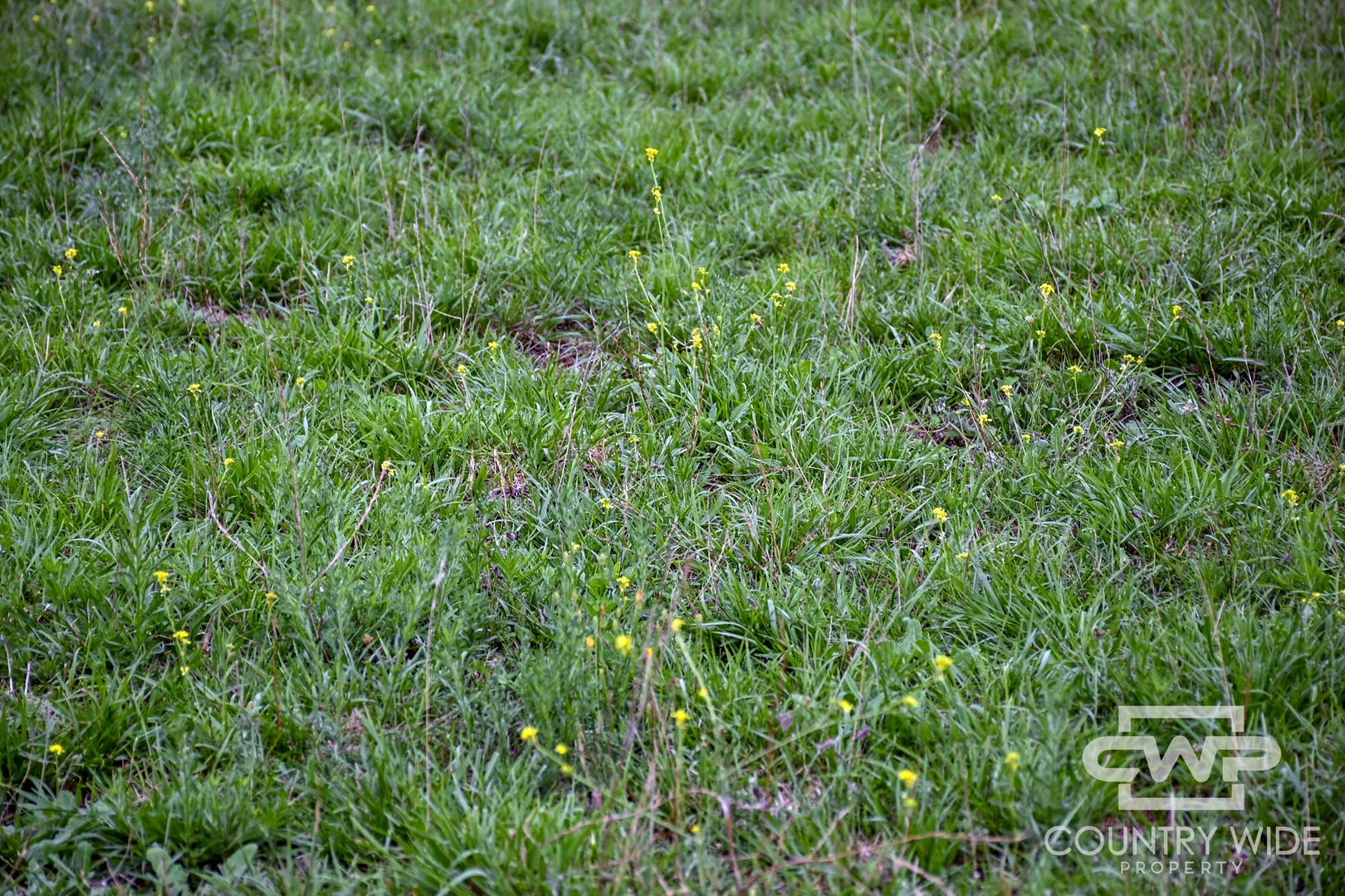 Additional image 16 of 638 Furracabad Road, Glen Innes NSW 2370