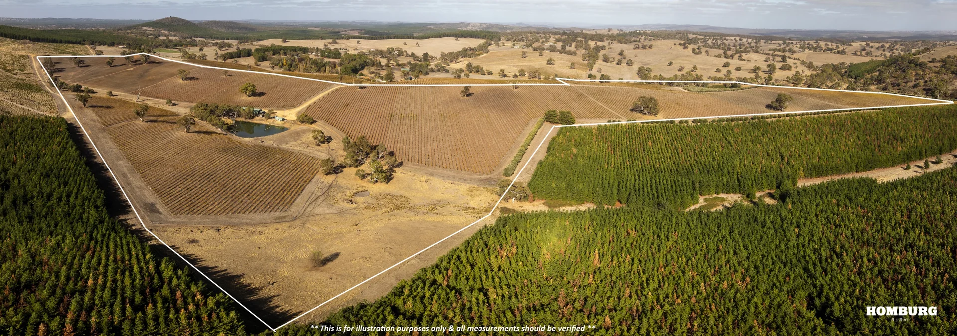 Additional image 11 of 453 Springton Road, Pewsey Vale SA 5351