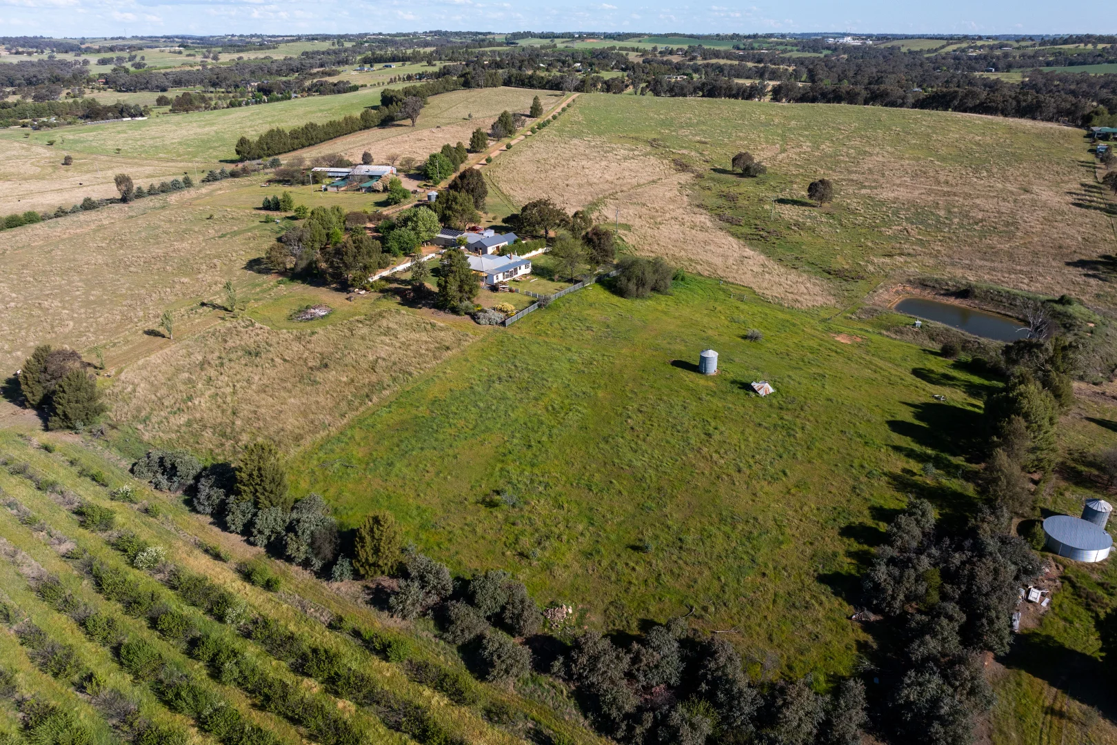 Additional image 28 of 251 Pattersons Lane, Young NSW 2594