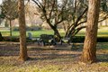 Additional image 53 of 1325 Boole Rd, Applegate, CA, 95703