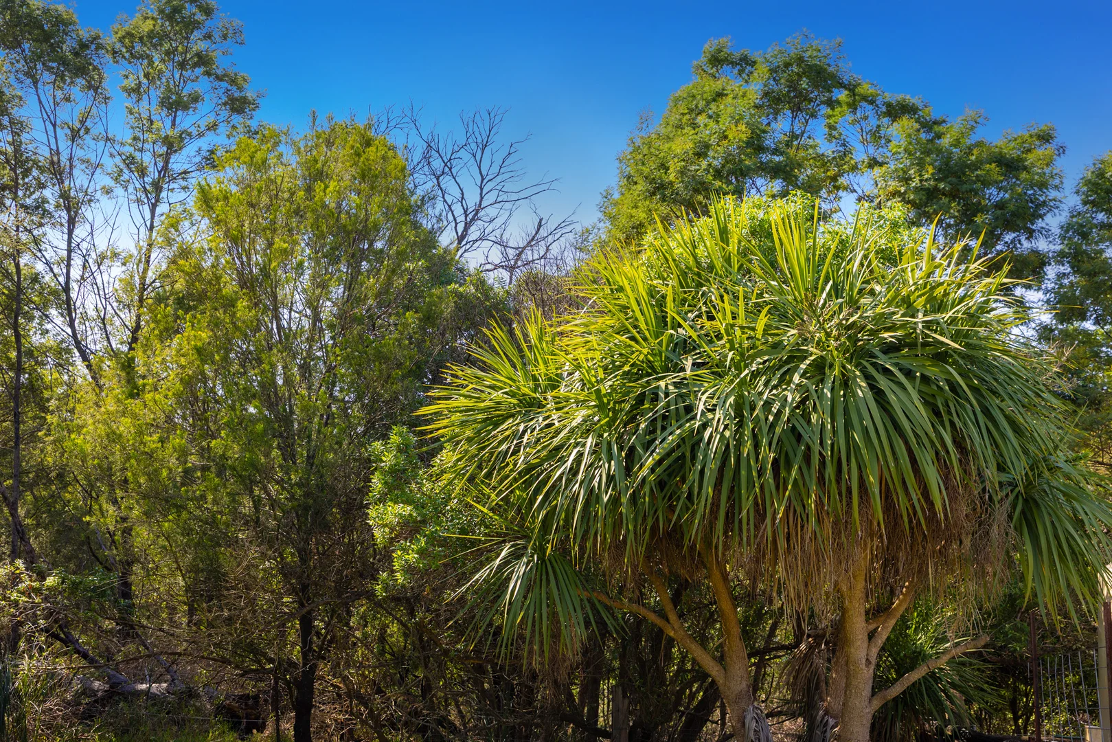 Additional image 6 of 65 Albatross Road, Kalimna VIC 3909