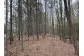 Additional image 23 of Old Bradley Rd, Mardela Springs, MD, 21837