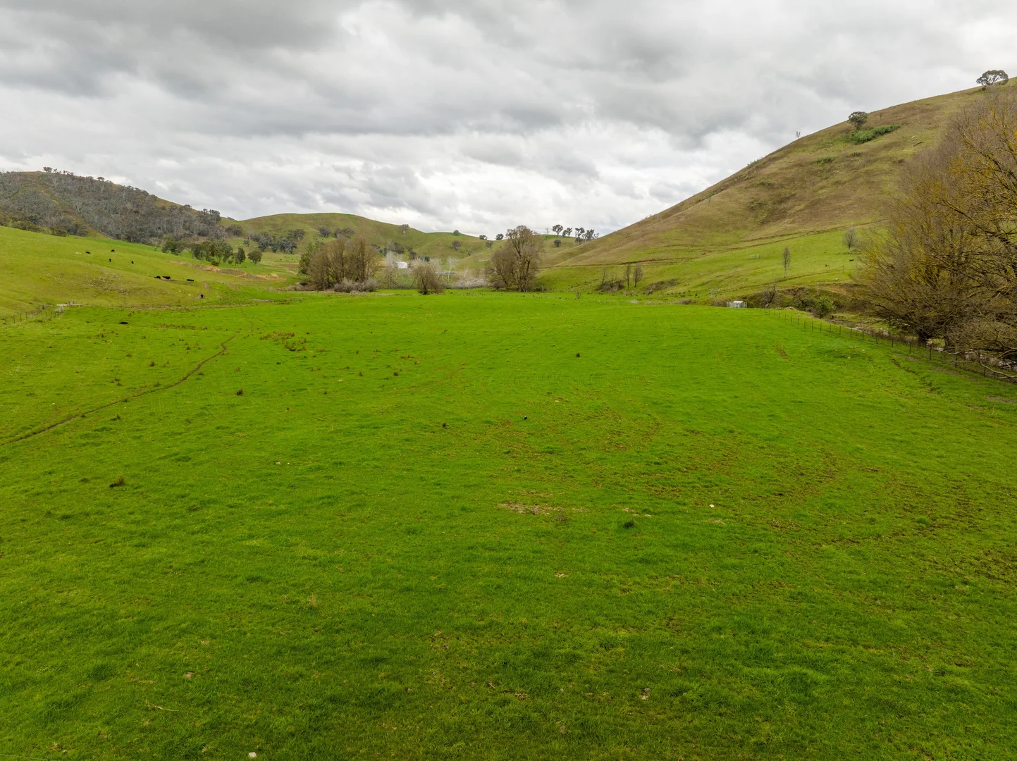 Additional image 12 of 'Rockview' 400 Horse Creek Road, Jingellic NSW 2642