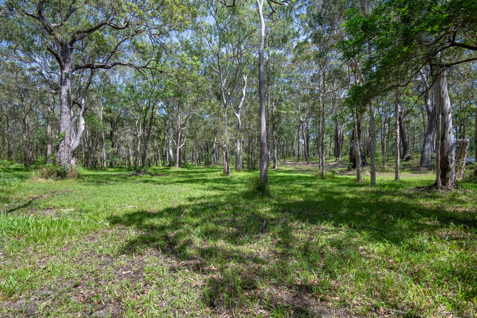 Additional image 23 of 31 Whitton Pl, Mullaway NSW 2456