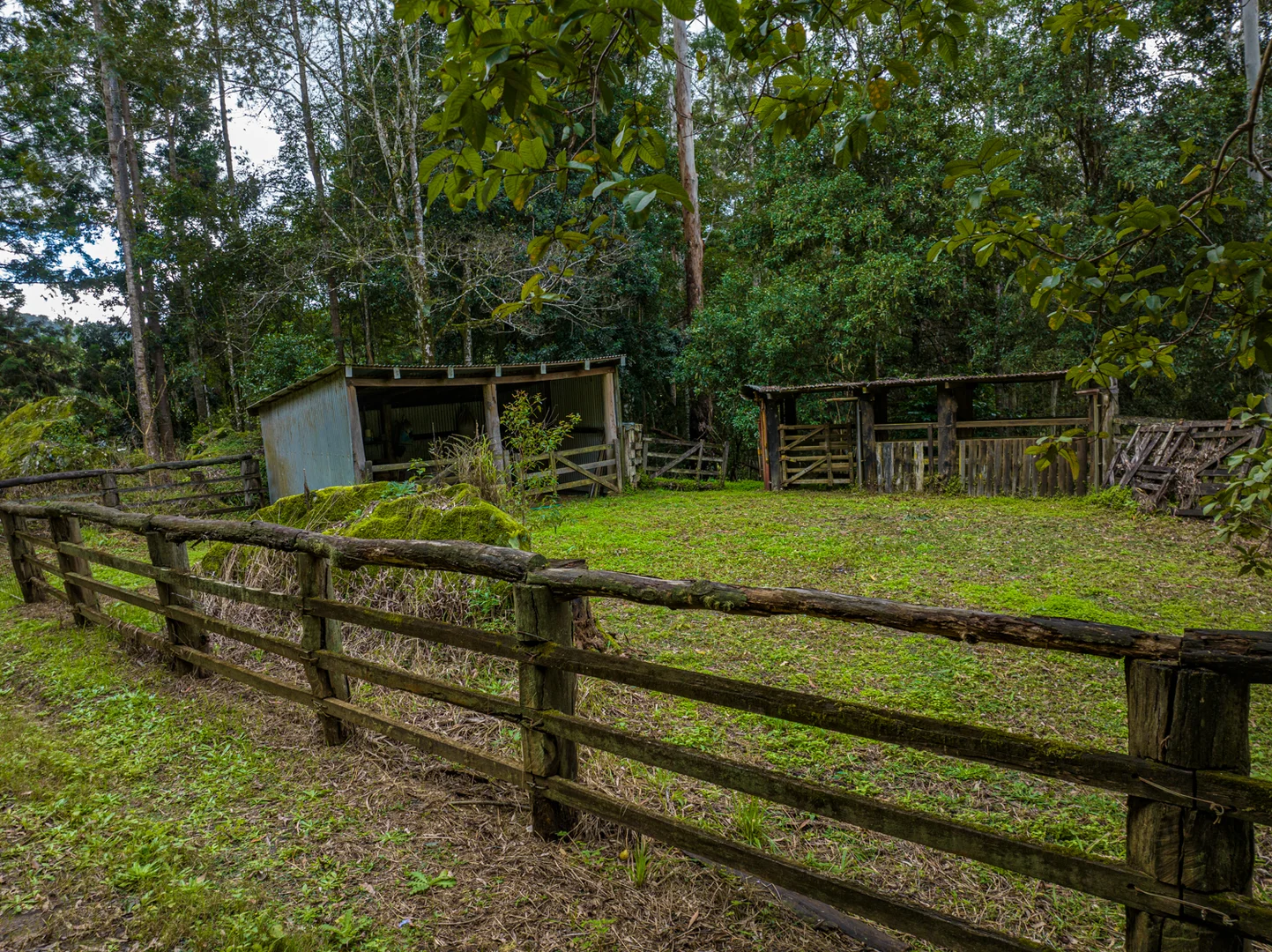 Additional image 32 of 574 Horseshoe Creek Road, Upper Horseshoe Creek NSW 2474