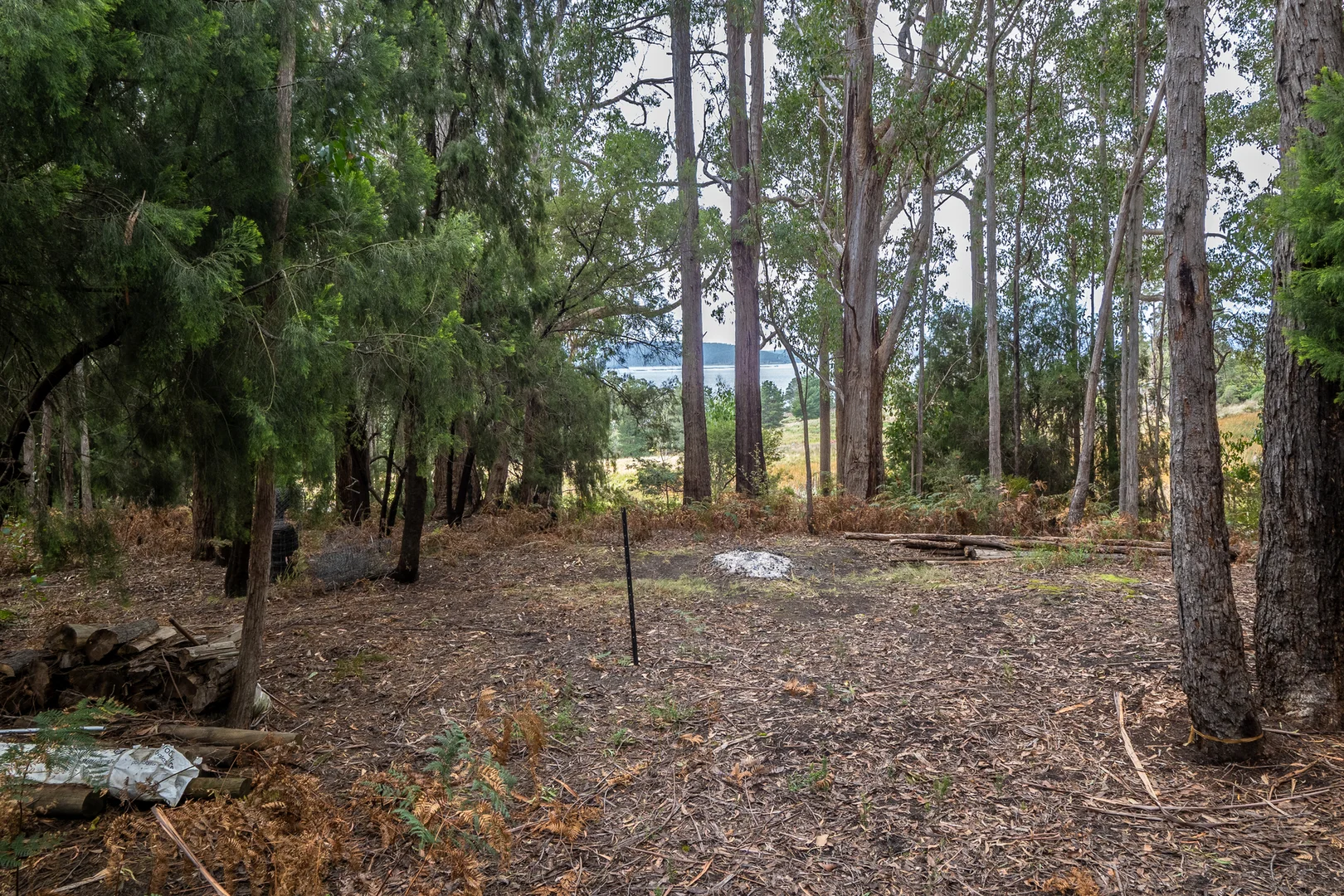 Additional image 7 of Channel Highway, Flowerpot TAS 7163