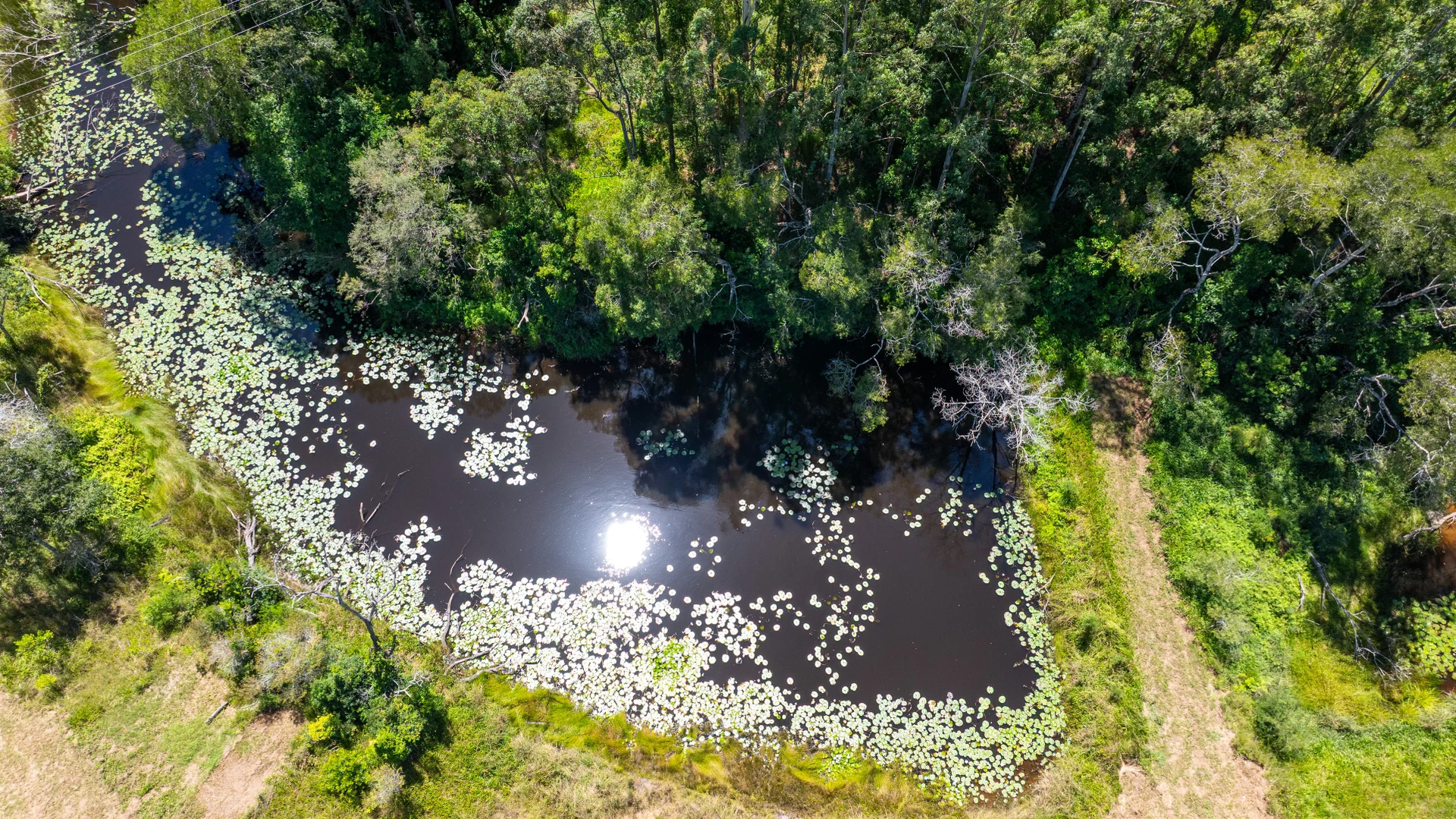 Additional image 46 of 930 promised land Road, Bellingen NSW 2454