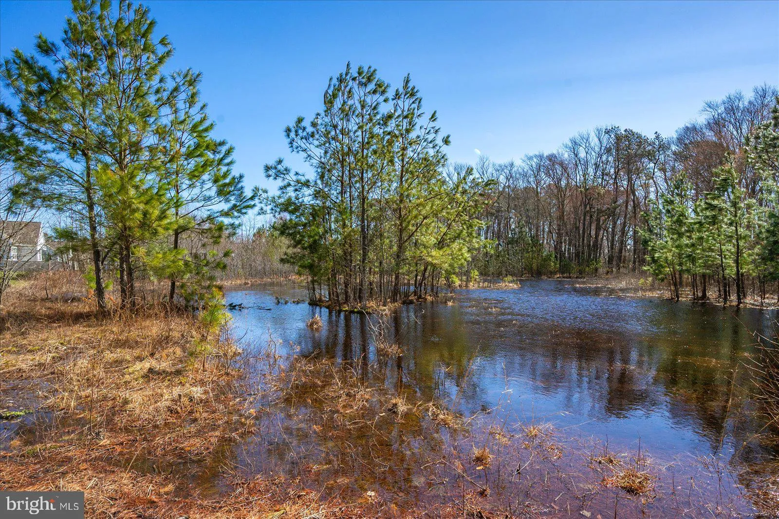 Additional image 147 of 38734 Soft Beach Circle, Selbyville, DE 19975