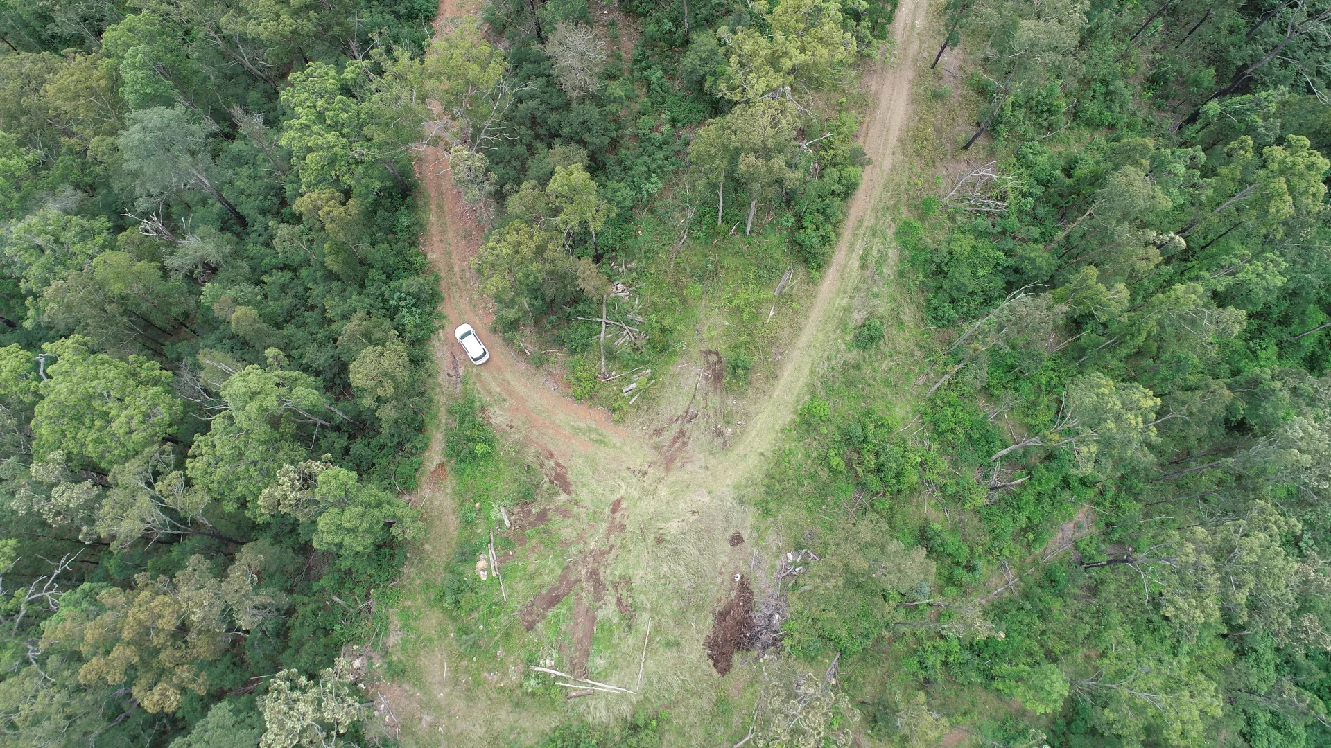 Additional image 6 of 173 Knodingbul Forest Road, Mount George NSW 2424