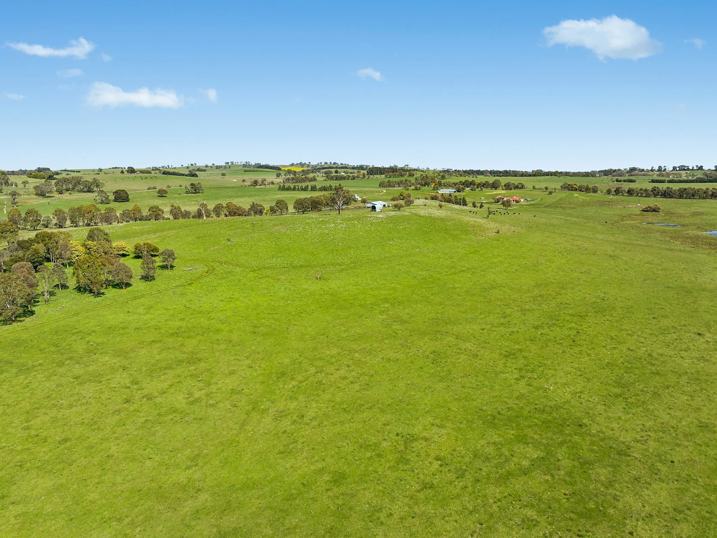 Additional image 21 of 565 Nyes Gate Road, Millthorpe NSW 2798