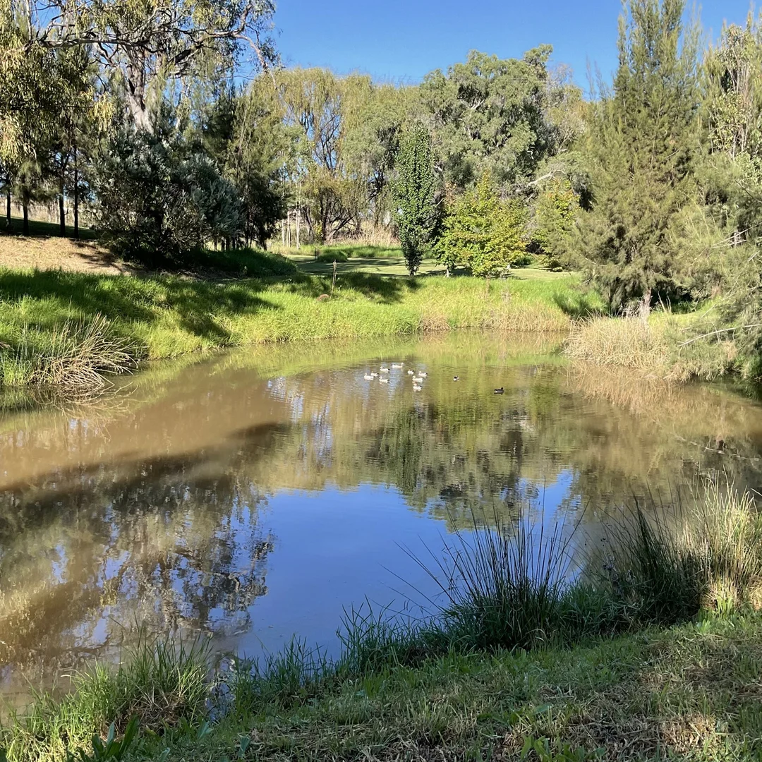 Additional image 3 of Inverell NSW 2360