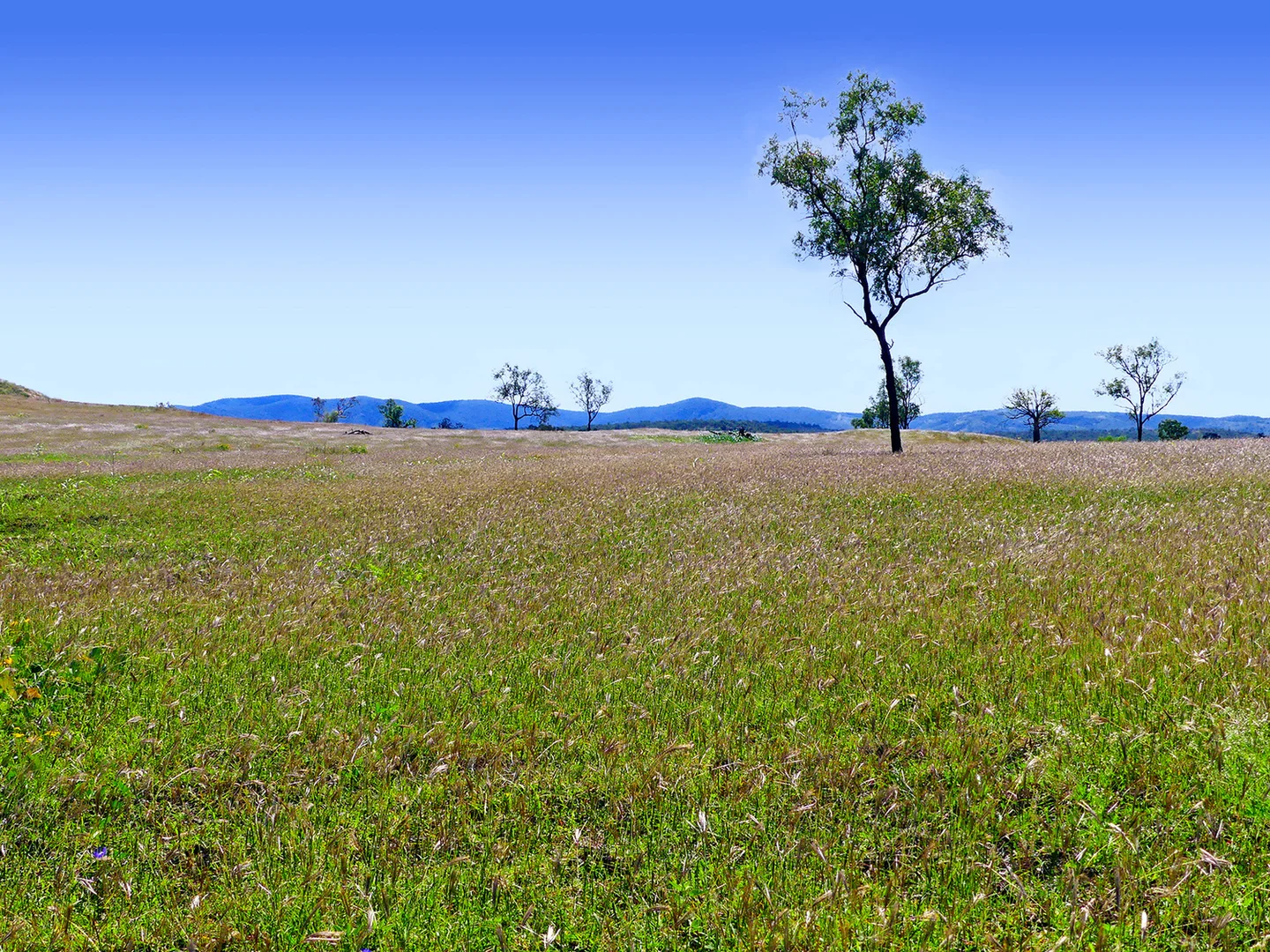 Additional image 17 of 0 'Spring Creek Hollow' Capricorn Highway, Westwood QLD 4702