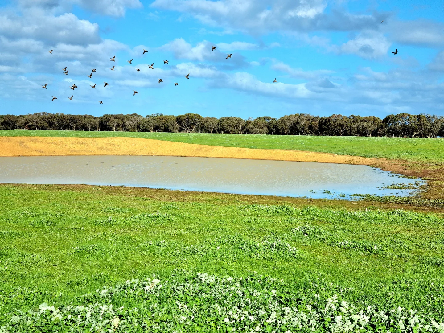 Additional image 19 of 958 Crabbs Road, Newland SA 5223