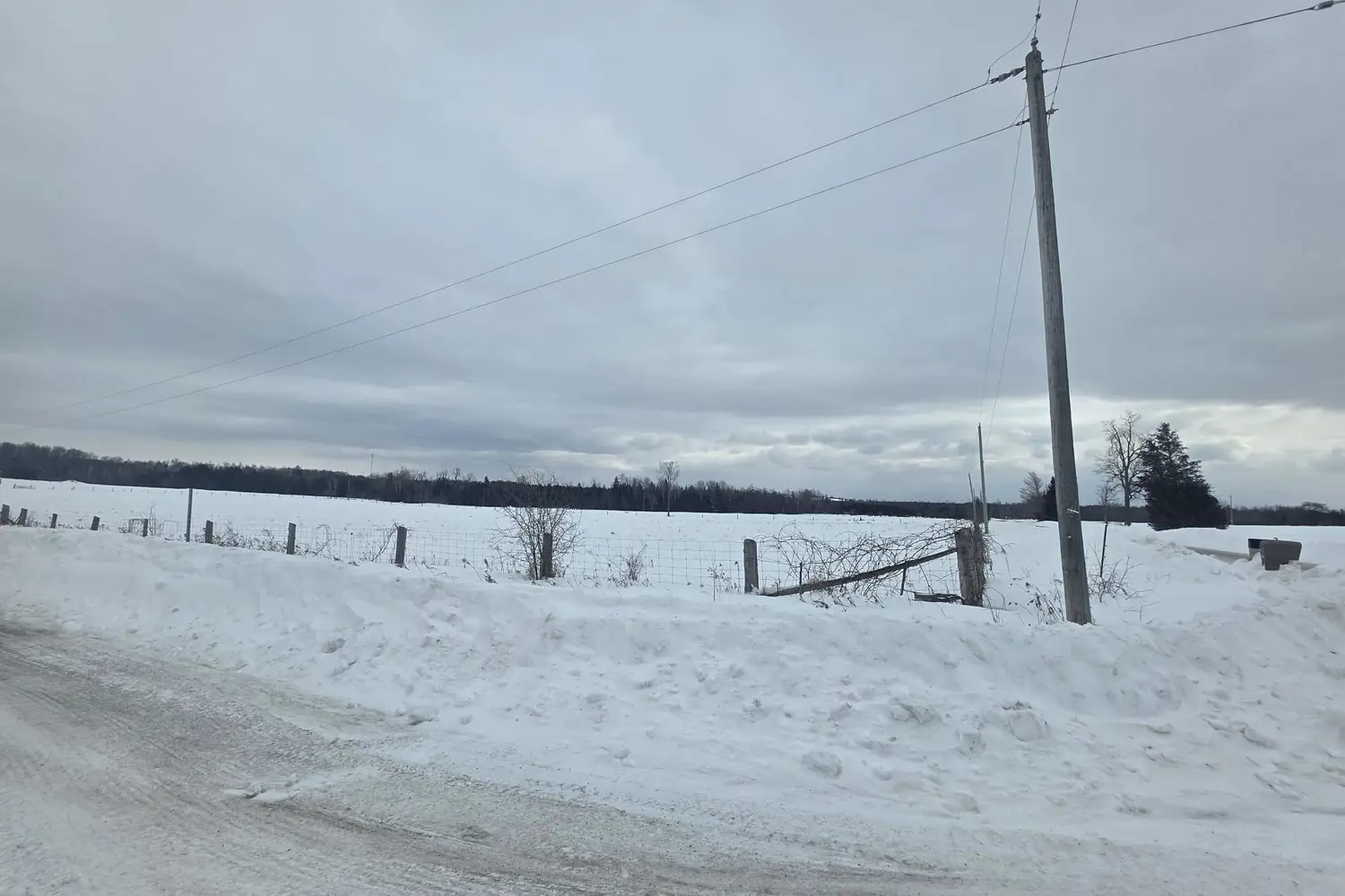 Additional image 13 of 36 Sugar Bush Road