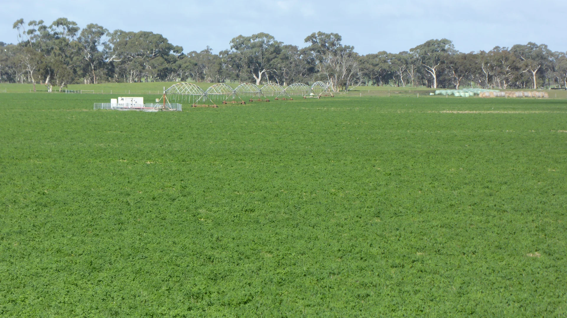 Additional image 28 of "Wyruna" 2989 Naracoorte Road, Western Flat SA 5268