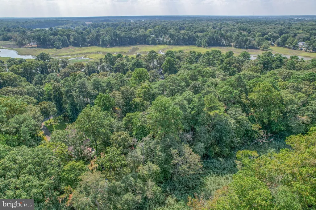 Additional image 23 of 10 Mallard Drive, Dagsboro, DE 19939