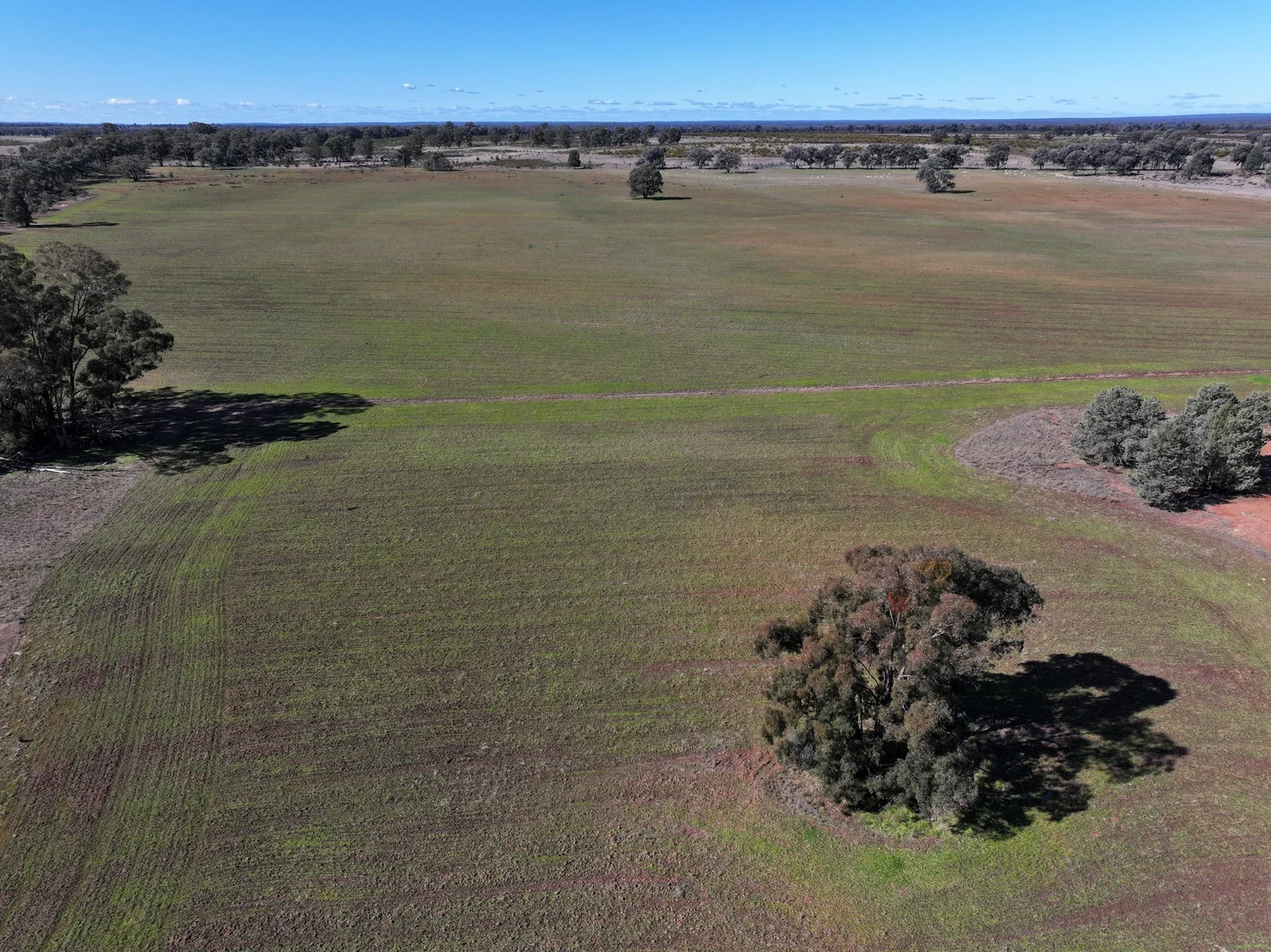 Additional image 4 of 'Belmont' 71R Maiala Road, Eumungerie NSW 2822
