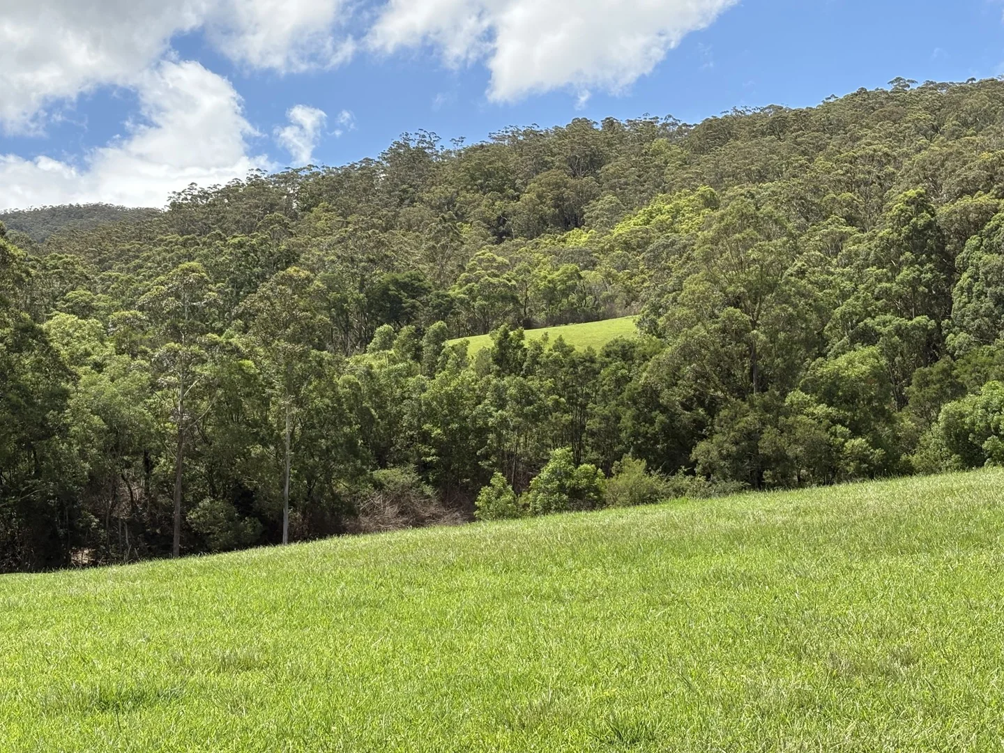 Additional image 24 of 65c Marden Lane, Kangaroo Valley NSW 2577