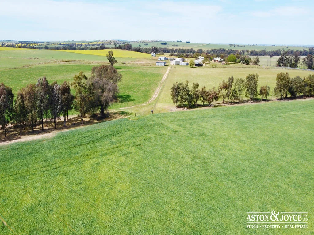 Additional image 34 of 3378 Mid Western Highway, Grenfell NSW 2810