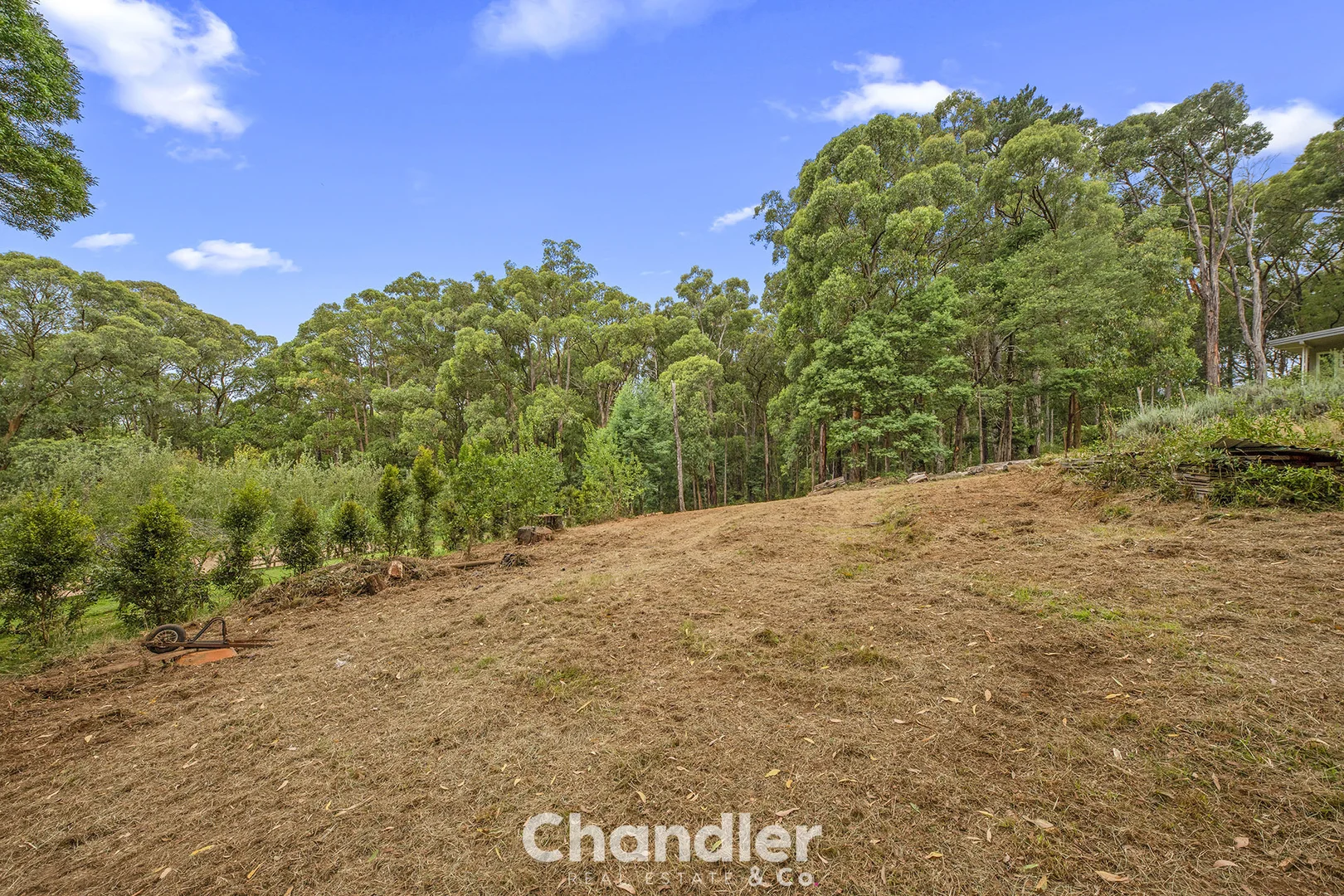 Additional image 4 of 75 Priors Road, The Patch VIC 3792