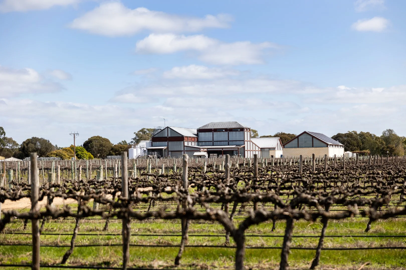 Additional image 8 of 148 McLean Road, Coonawarra SA 5263