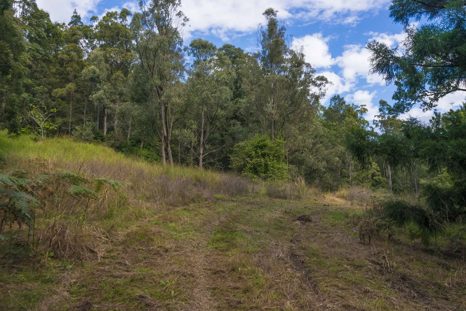 Additional image 39 of 574 Horseshoe Creek Road, Upper Horseshoe Creek NSW 2474