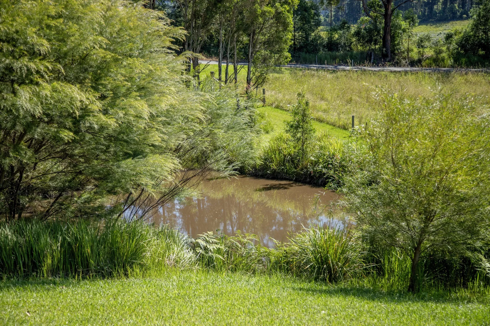 Additional image 28 of 1694 Comboyne Road, Killabakh NSW 2429