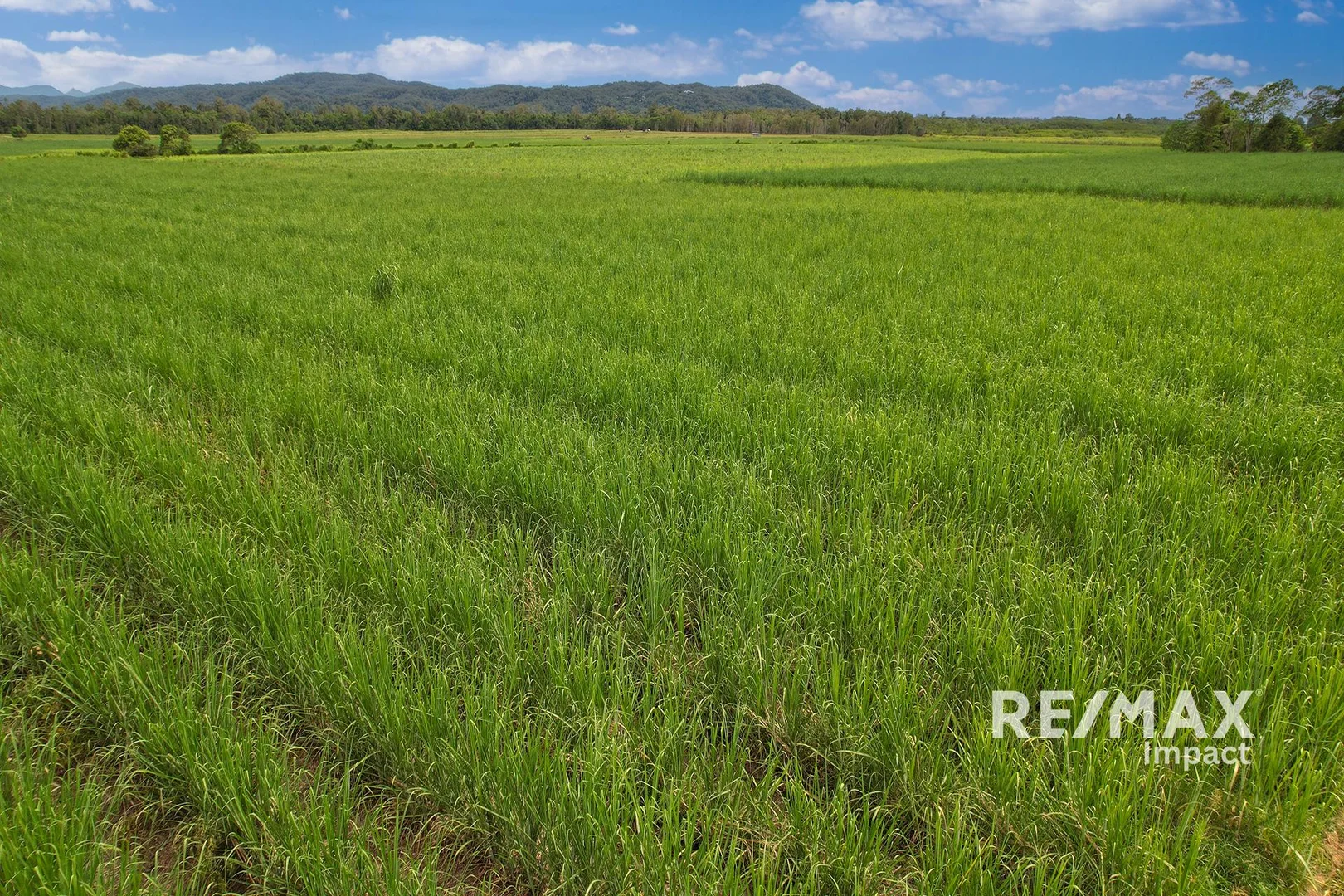 Additional image 7 of Kylies Road, Miallo QLD 4873