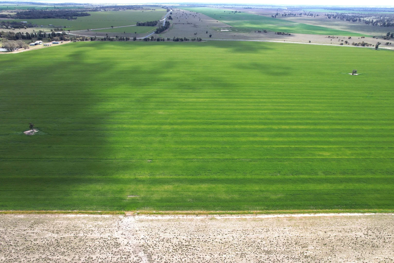 Additional image 4 of 6689 Mid Western Highway, Caragabal NSW 2810