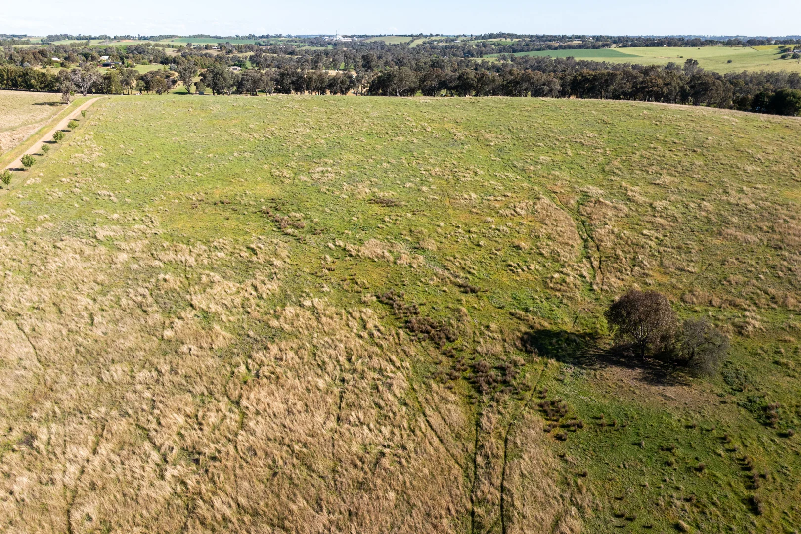 Additional image 32 of 251 Pattersons Lane, Young NSW 2594