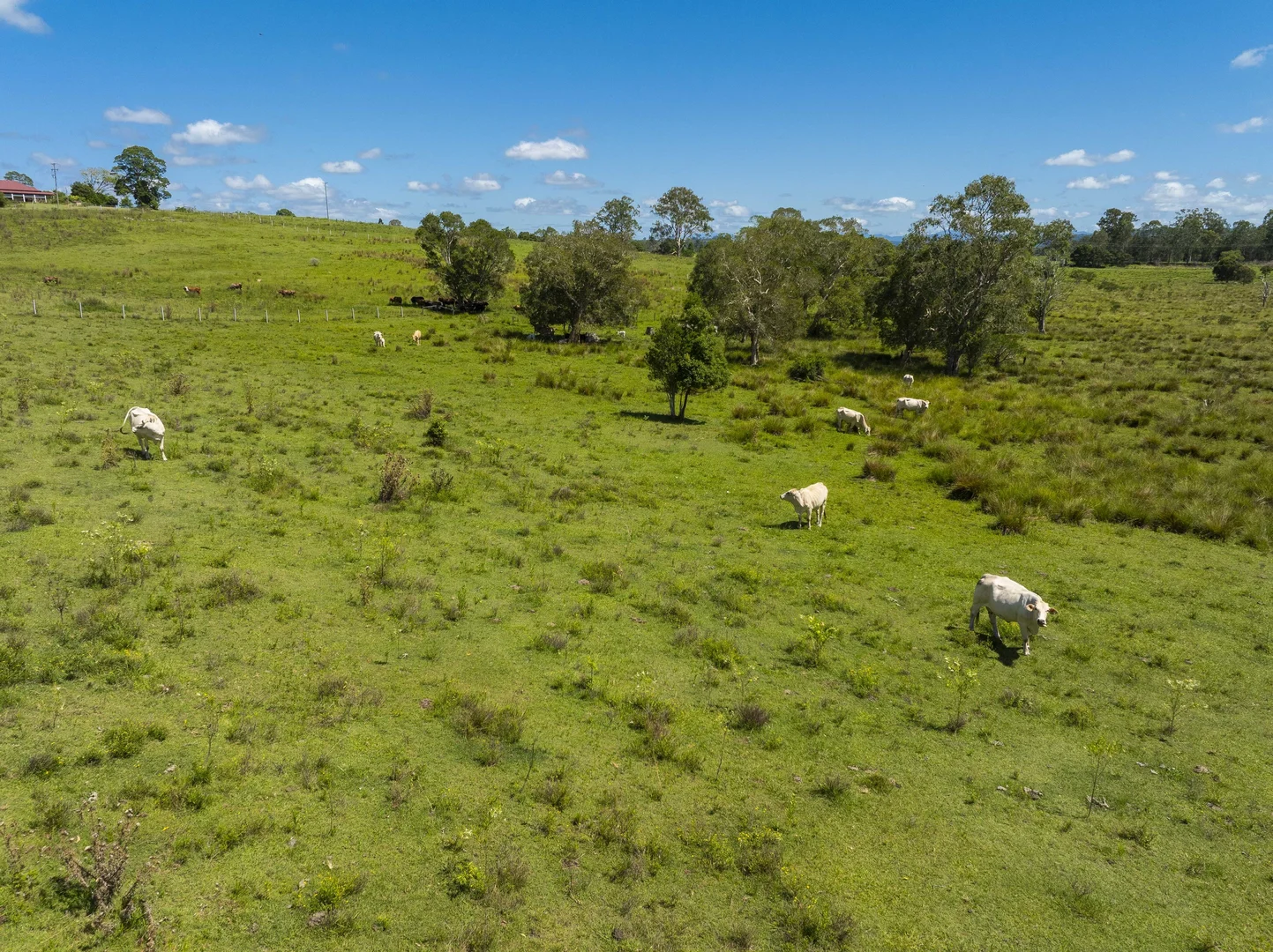 Additional image 18 of 241 Coraki Road, South Gundurimba NSW 2480