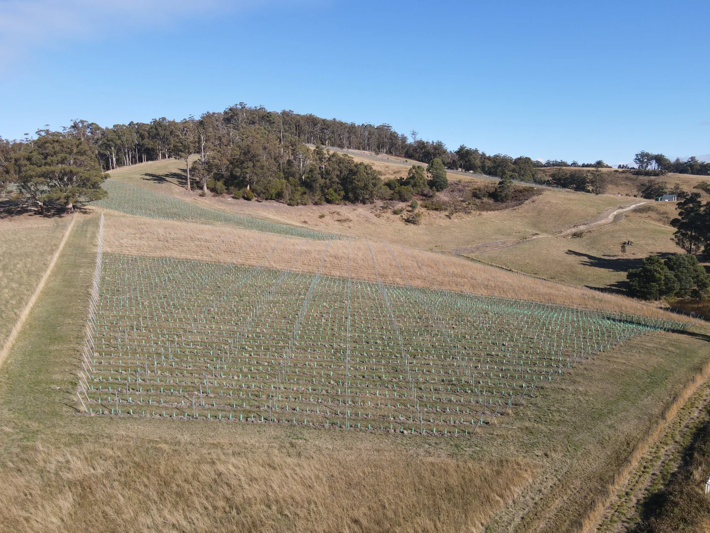 Additional image 2 of Lot 1 Wallace Road, Cygnet TAS 7112