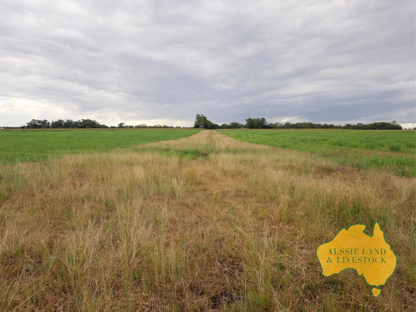 Additional image 74 of 629 Stuart Valley Drive, Haly Creek QLD 4610
