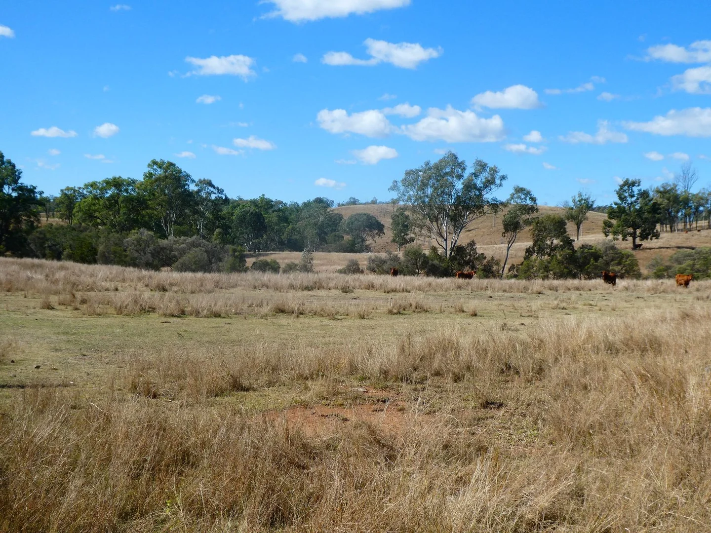 Additional image 17 of NRN BEERON ROAD, Beeron QLD 4626