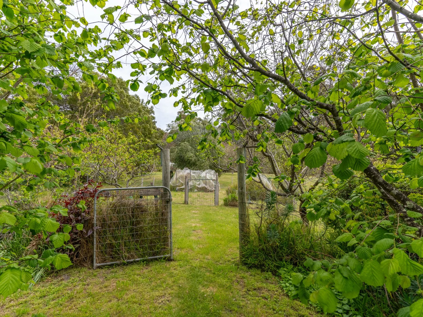 Additional image 30 of 25598 Tasman Highway, St Helens TAS 7216