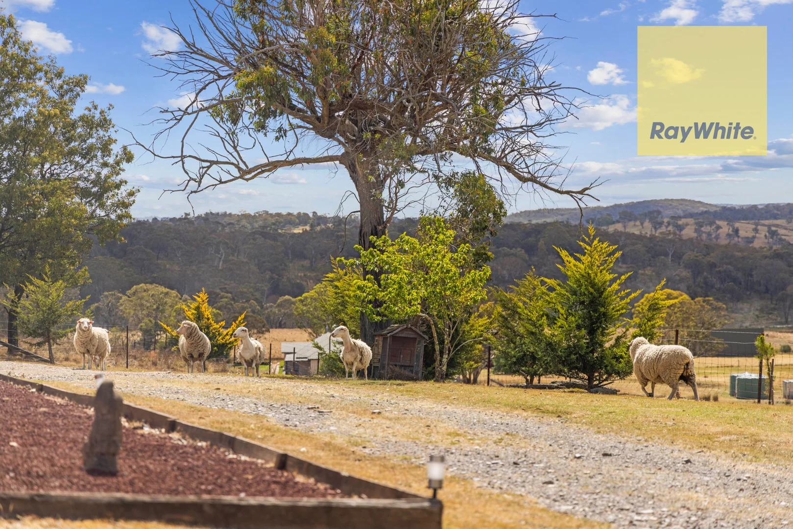 Additional image 20 of 51 Parsons Lane, Chatsbury NSW 2580