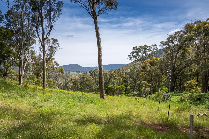 Additional image 3 of Lots 4 & 8 Tatong-Tolmie Rd, Tatong VIC 3673