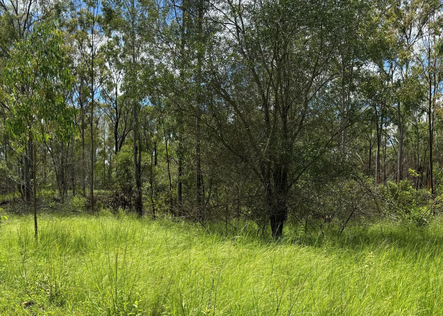 Additional image 11 of L52 Campbell Creek Road, Campbell Creek, Gayndah QLD 4625